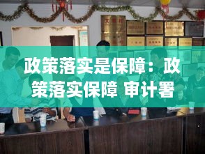 政策落实是保障：政策落实保障 审计署 