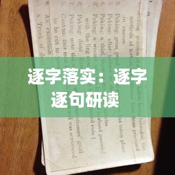 逐字落实：逐字逐句研读 