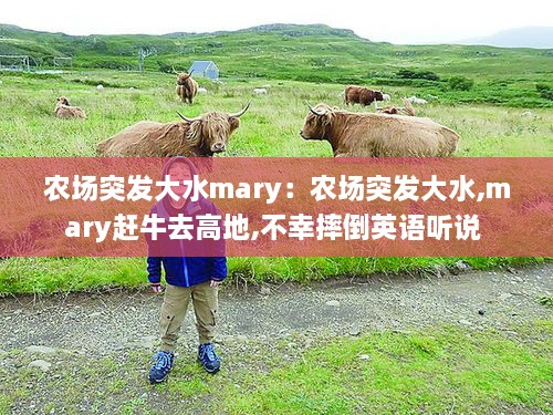 农场突发大水mary：农场突发大水,mary赶牛去高地,不幸摔倒英语听说 