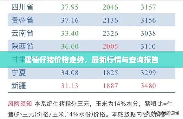 建德仔猪价格走势，最新行情与查询报告