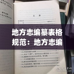 地方志编纂表格规范：地方志编纂工作内容 