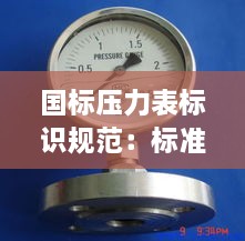 国标压力表标识规范：标准压力表型号大全 