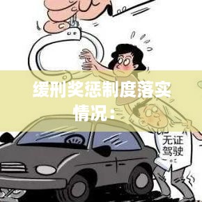 缓刑奖惩制度落实情况： 