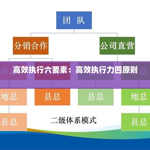 高效执行六要素：高效执行力四原则 