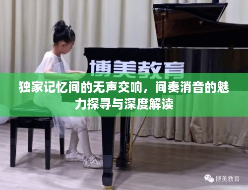 独家记忆间的无声交响，间奏消音的魅力探寻与深度解读