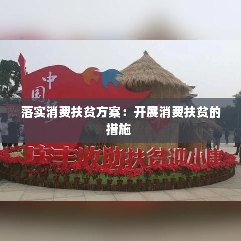 落实消费扶贫方案：开展消费扶贫的措施 