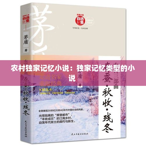 农村独家记忆小说：独家记忆类型的小说 