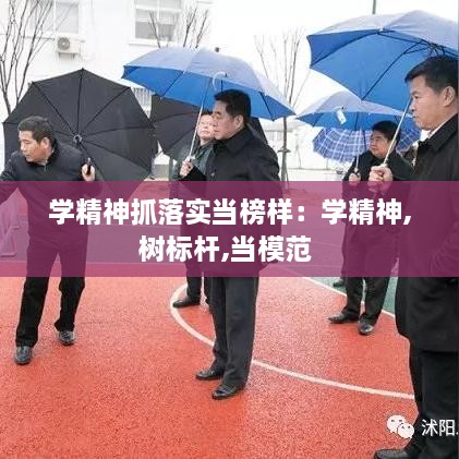 学精神抓落实当榜样：学精神,树标杆,当模范 