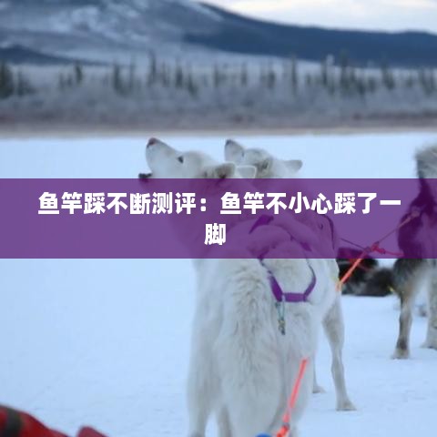 鱼竿踩不断测评：鱼竿不小心踩了一脚 