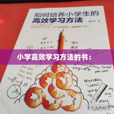 小学高效学习方法的书： 