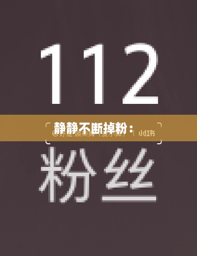 静静不断掉粉： 
