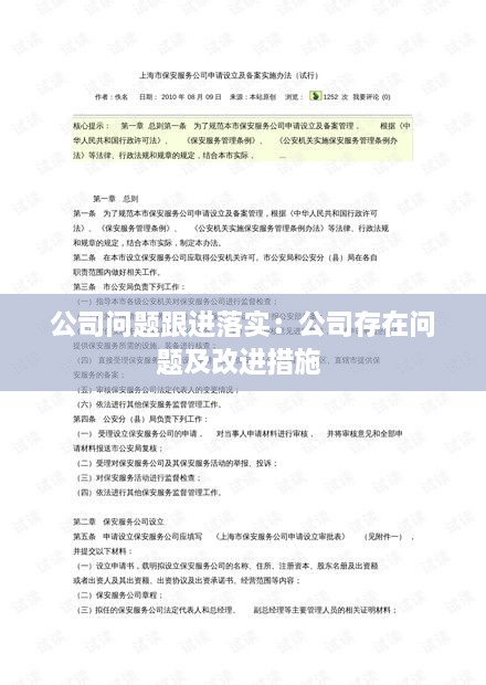 公司问题跟进落实：公司存在问题及改进措施 