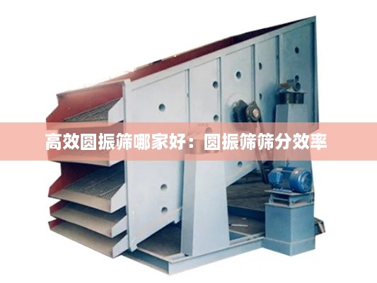 高效圆振筛哪家好：圆振筛筛分效率 