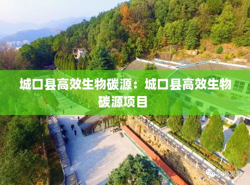 城口县高效生物碳源：城口县高效生物碳源项目 