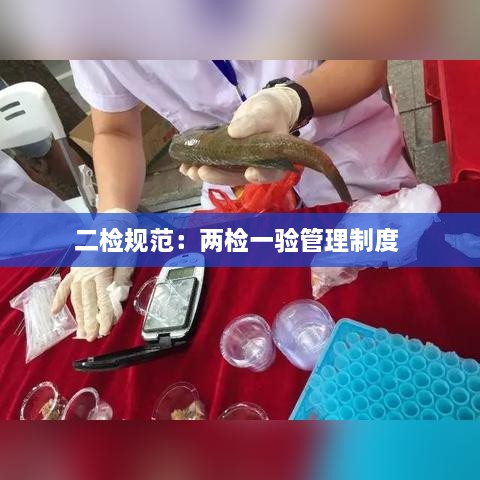 二检规范：两检一验管理制度 