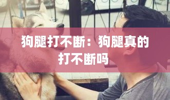 狗腿打不断：狗腿真的打不断吗 