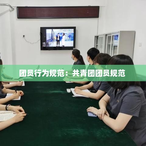团员行为规范：共青团团员规范 
