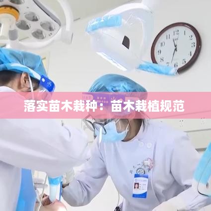 落实苗木栽种：苗木栽植规范 