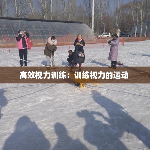 高效视力训练：训练视力的运动 