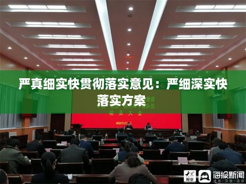 严真细实快贯彻落实意见：严细深实快落实方案 
