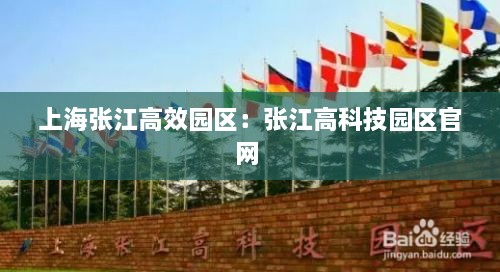 上海张江高效园区：张江高科技园区官网 