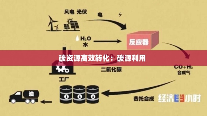 碳资源高效转化：碳源利用 