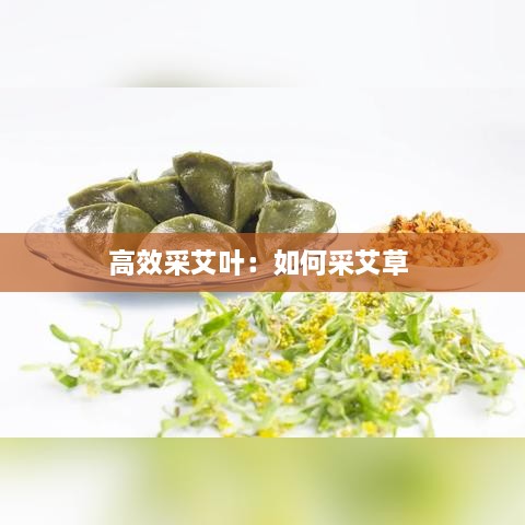 高效采艾叶：如何采艾草 