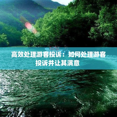 高效处理游客投诉：如何处理游客投诉并让其满意 