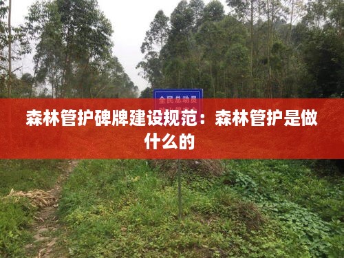 森林管护碑牌建设规范：森林管护是做什么的 
