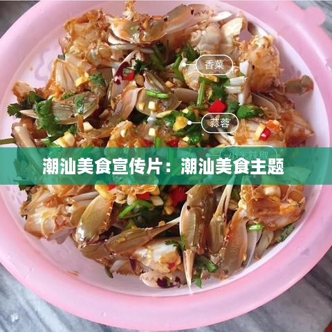 潮汕美食宣传片：潮汕美食主题 