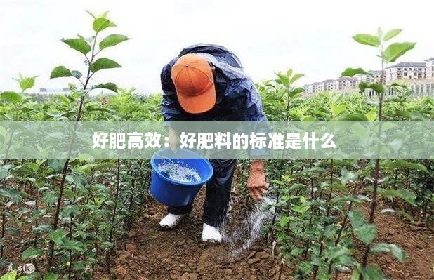 好肥高效：好肥料的标准是什么 