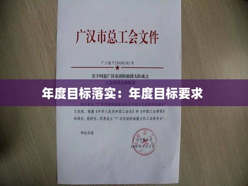 年度目标落实：年度目标要求 