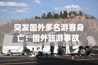 突发国外多名游客身亡：国外旅游事故 