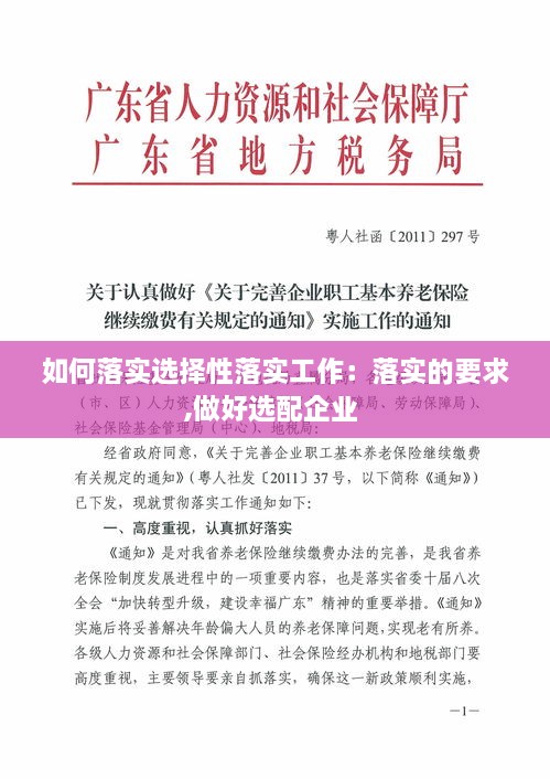 如何落实选择性落实工作：落实的要求,做好选配企业 