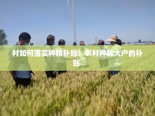 村如何落实种粮补贴：农村种粮大户的补贴 