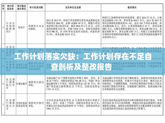 工作计划落实欠缺：工作计划存在不足自查剖析及整改报告 