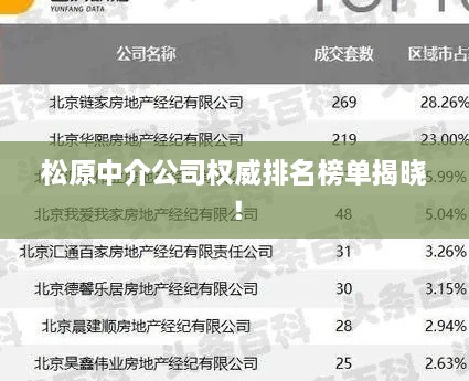 松原中介公司权威排名榜单揭晓！