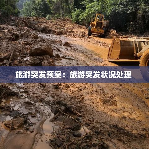 旅游突发预案：旅游突发状况处理 