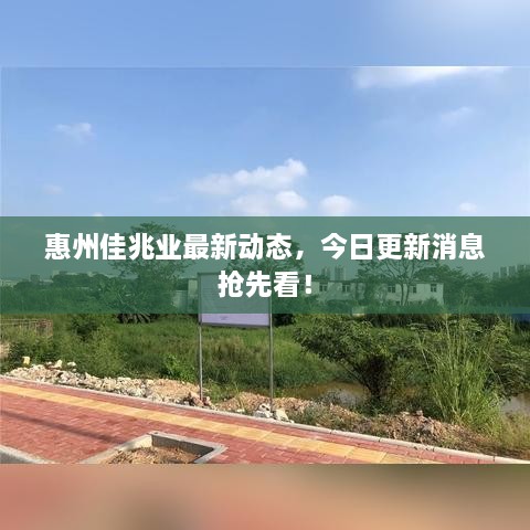 惠州佳兆业最新动态，今日更新消息抢先看！