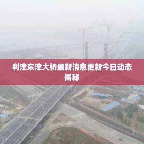利津东津大桥最新消息更新今日动态揭秘