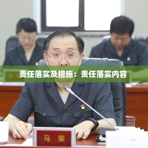 责任落实及措施：责任落实内容 