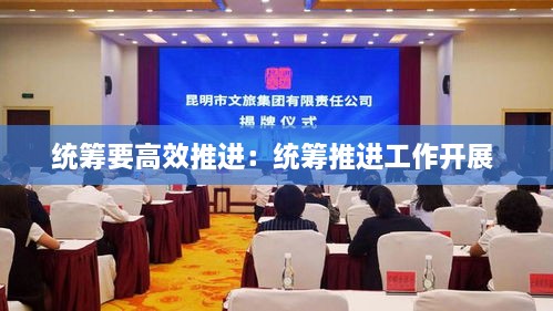 统筹要高效推进：统筹推进工作开展 