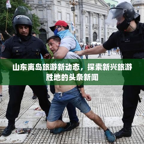 惊弓之鸟 第2页
