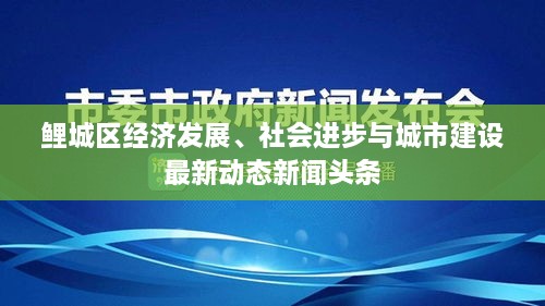 鲤城区经济发展、社会进步与城市建设最新动态新闻头条