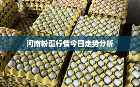 河南粉蛋行情今日走势分析