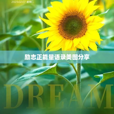 励志正能量语录美图分享