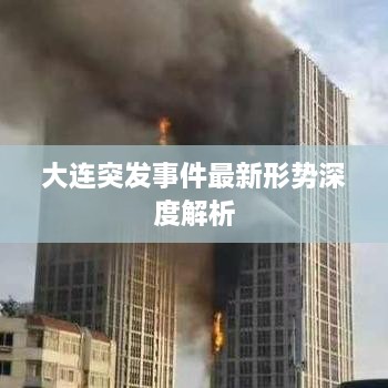 大连突发事件最新形势深度解析