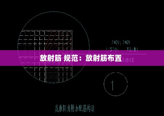 放射筋 规范：放射筋布置 