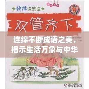 连绵不断成语之美，揭示生活万象与中华文化之韵