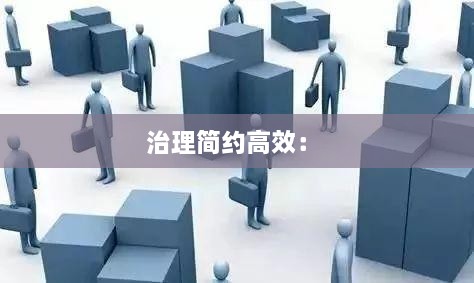 治理简约高效： 